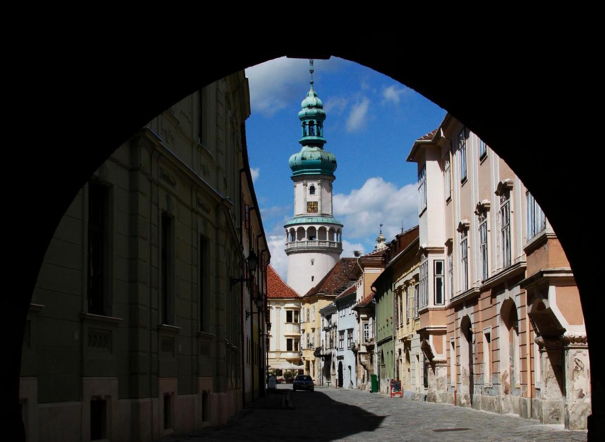 Hotel Szieszta Sopron Extérieur photo