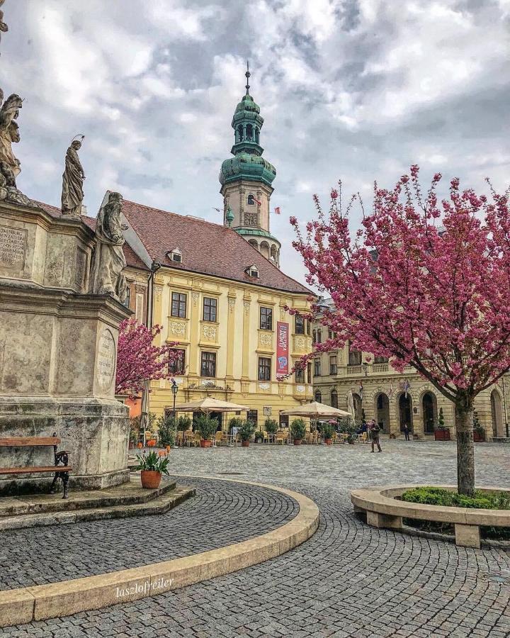 Hotel Szieszta Sopron Extérieur photo